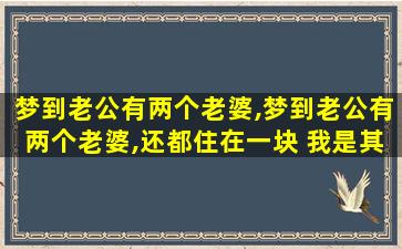 梦到老公有两个老婆,梦到老公有两个老婆,还都住在一块 我是其中一个老婆